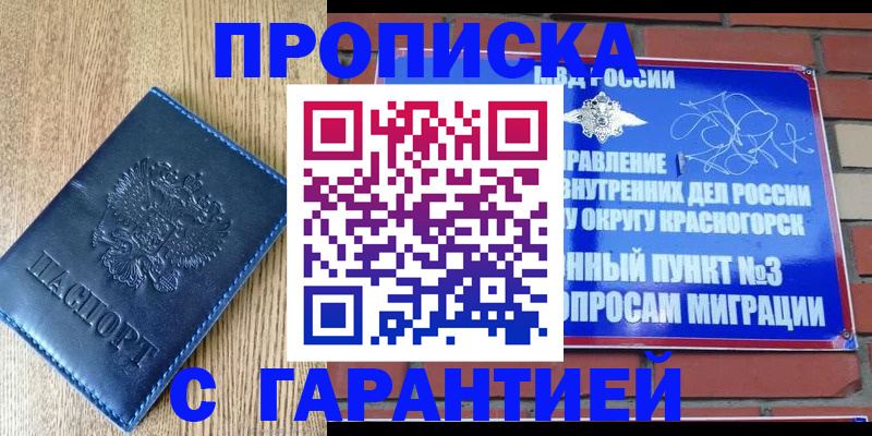 регистрация в Полярных Зорях